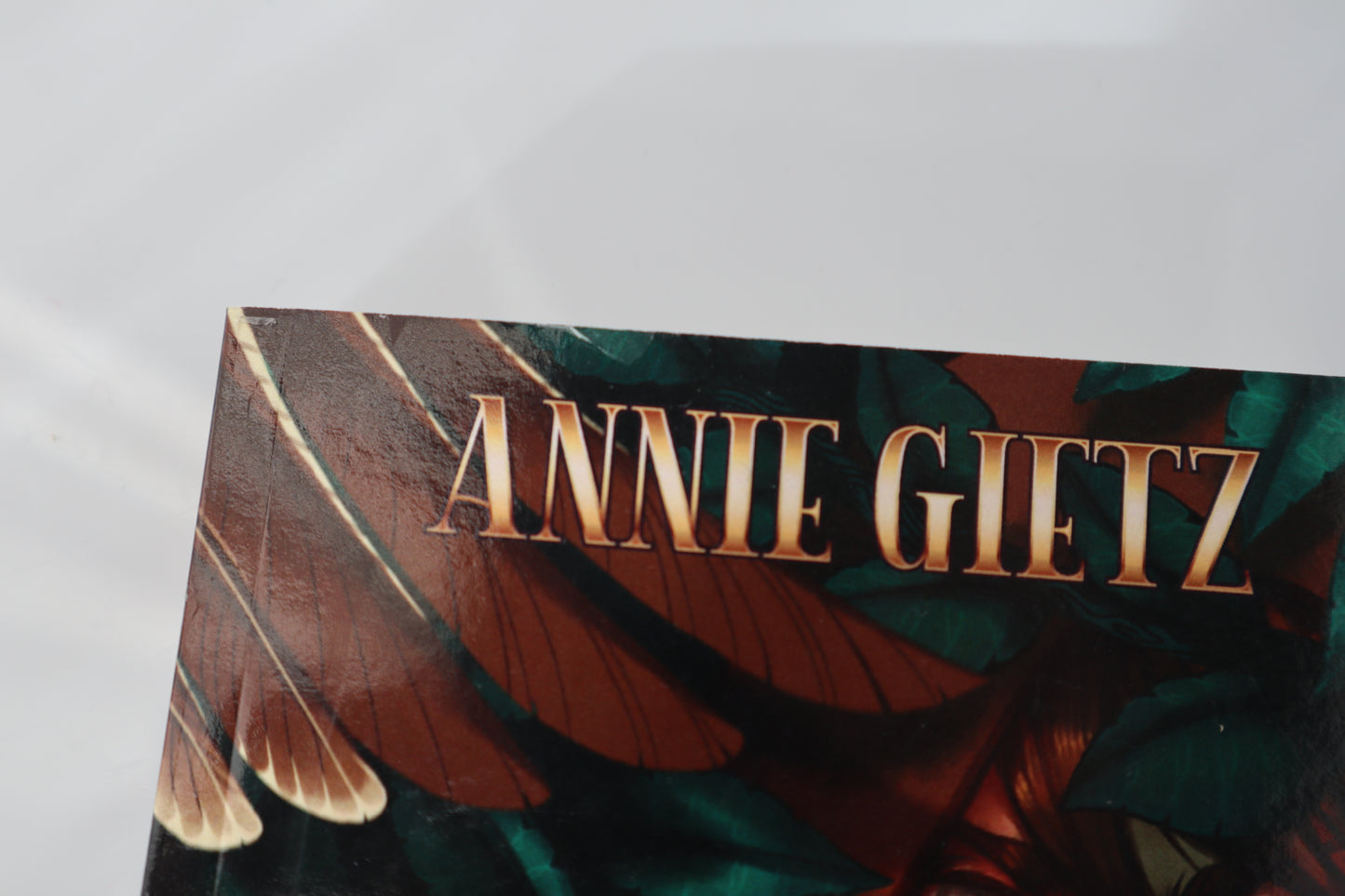 Corner of a book with imperfections on the cover, slight peeling lamination.