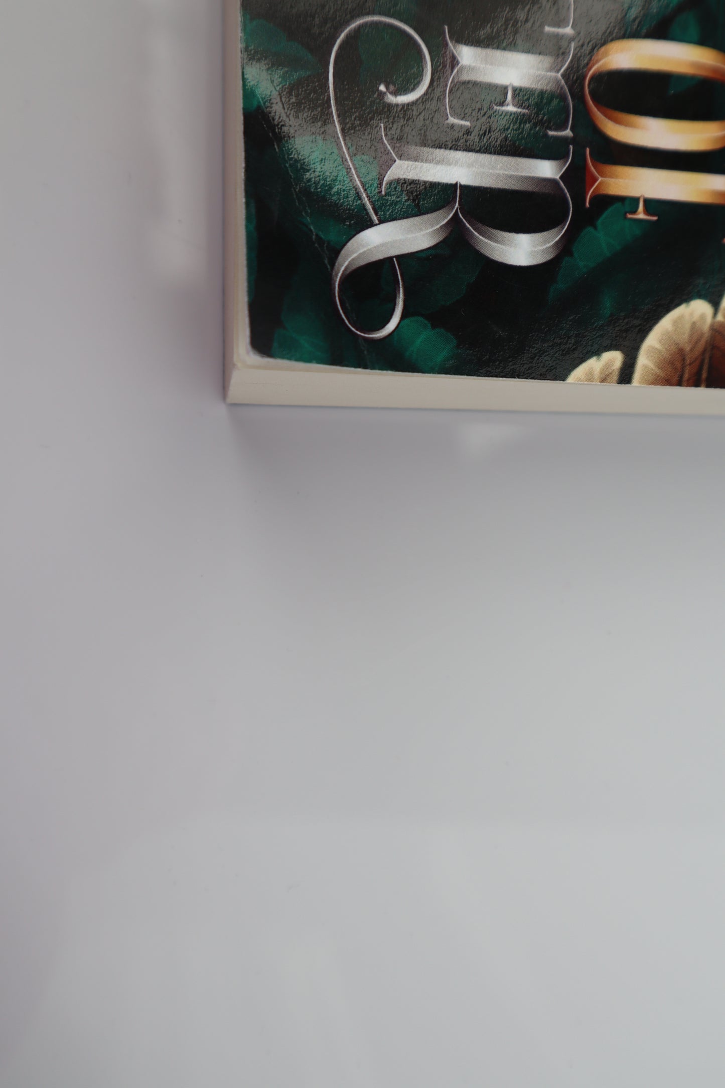 Corner of the book is slightly bent 