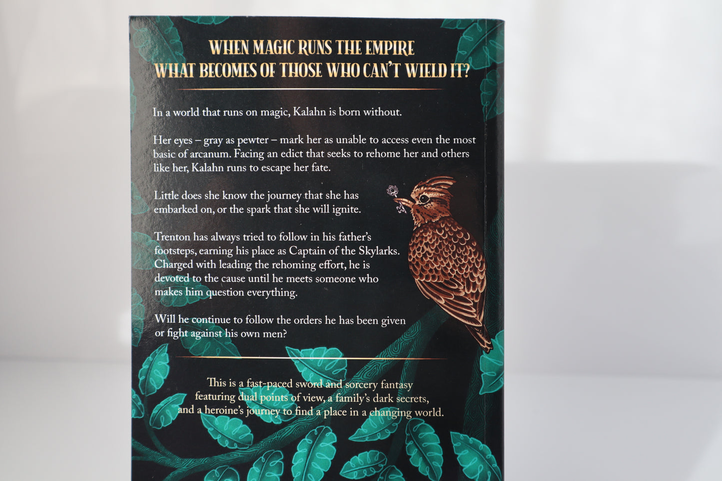 Book cover with the book blub and a skylark bird holding a key illustration on a white background.