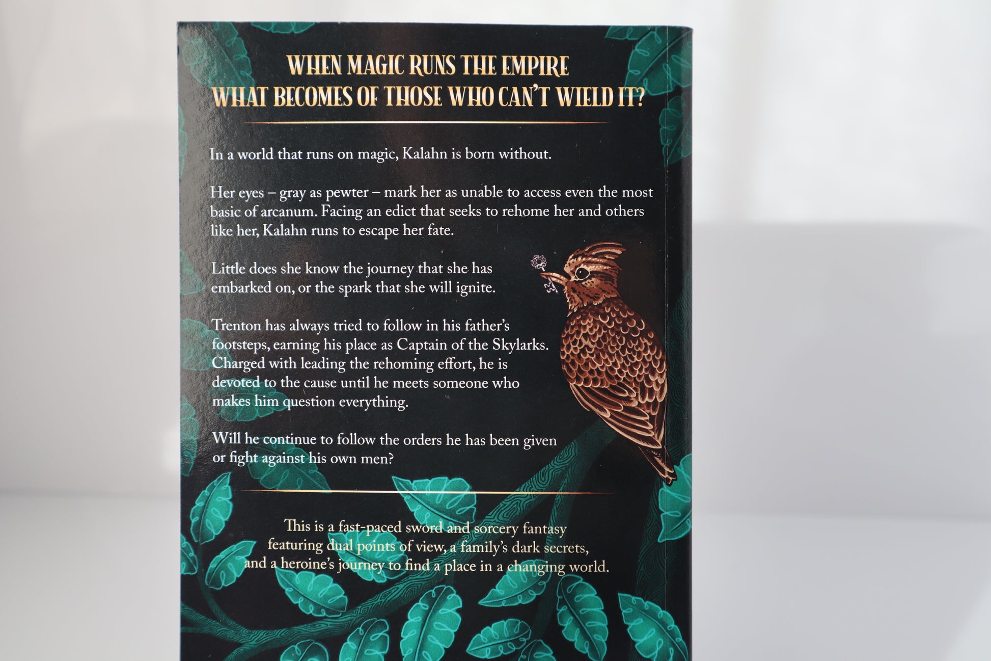 Book cover with the book blub and a skylark bird holding a key illustration on a white background.