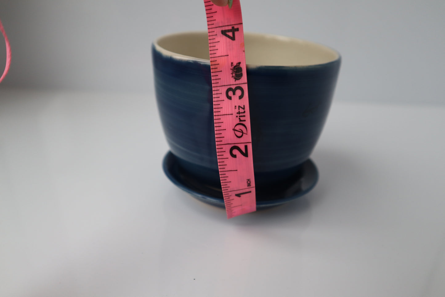 Small Blue Book Lovers Planter